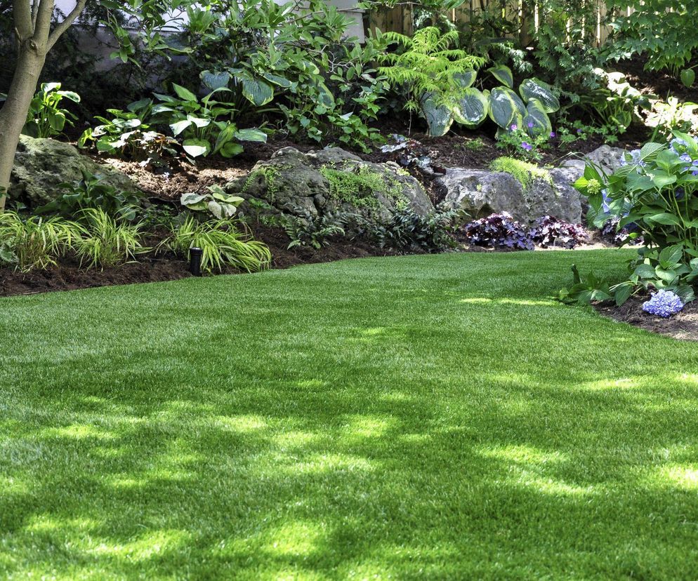 Kiedy i jak wykonać wapnowanie trawnika?