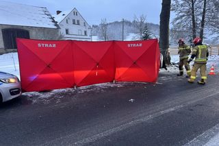 Koszmar na drodze koło Jawora. Kierowca dostawczaka z impetem uderzył w drzewo 