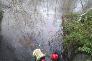 Katastrofa ekologiczna w Sosnowcu. Rzeka Przemsza zanieczyszczona! Wpłynęła do niej substancja ropopochodna [ZDJĘCIA]