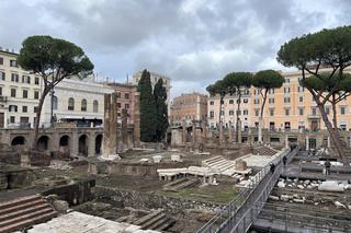 Largo Argentina - to tu zginął Juliusz Cezar. Dziś starożytne ruiny zamieszkuje kolonia kotów. Gdzie je zobaczyć?