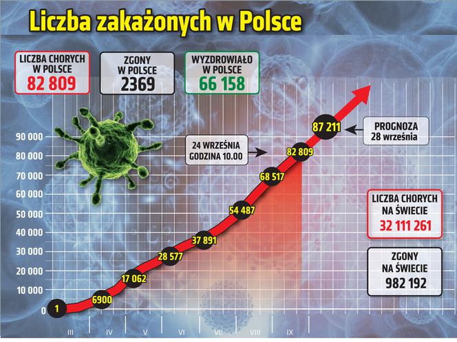 Koronawirus w Polsce. Statystyki, wykresy, grafiki (24 września)