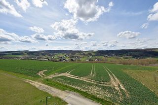 Widok z wieży w Różance