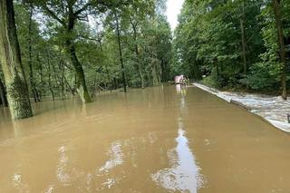 Powódź w gminie Brzeszcze