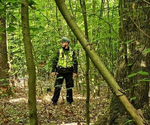 Zaginiona dziewczynka z Dziewkowic odnaleziona. Policja zatrzymała mężczyznę