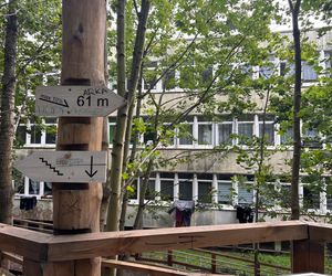 Park Leśny na Oksywiu, Gdynia