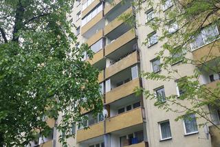 Przerażające odkrycie w Krakowie: Padłe gołębie i metrowa warstwa ptasich odchodów na balkonie [AUDIO, ZDJĘCIA]