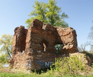 Drzewa w Złotorii wycięte. Porastały ruiny zamku, nakaz wydał konserwator zabytków