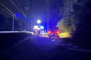 Siedział na torach w środku lasu. Zginął pod stalową bestią