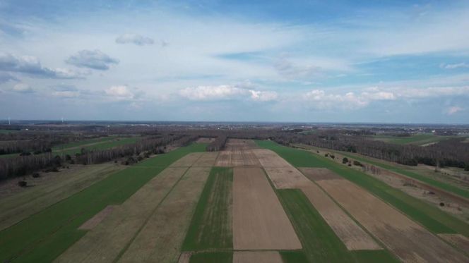 Najpiękniejsza wieś województwa śląskiego. Nazwę nosi od grusz rosnących przy polach