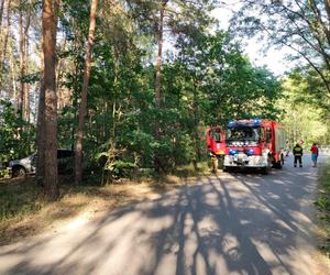 Wypadek pod Toruniem. Zakrwawiony kierowca wjechał autem w las