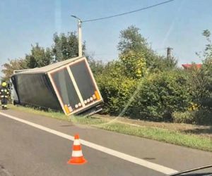  Kierowcę ciężarówki użądliła pszczoła, uderzył w przepust.