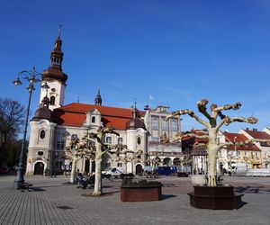 Pszczyna to jedno z najbardziej urokliwych miasteczek na Śląsku