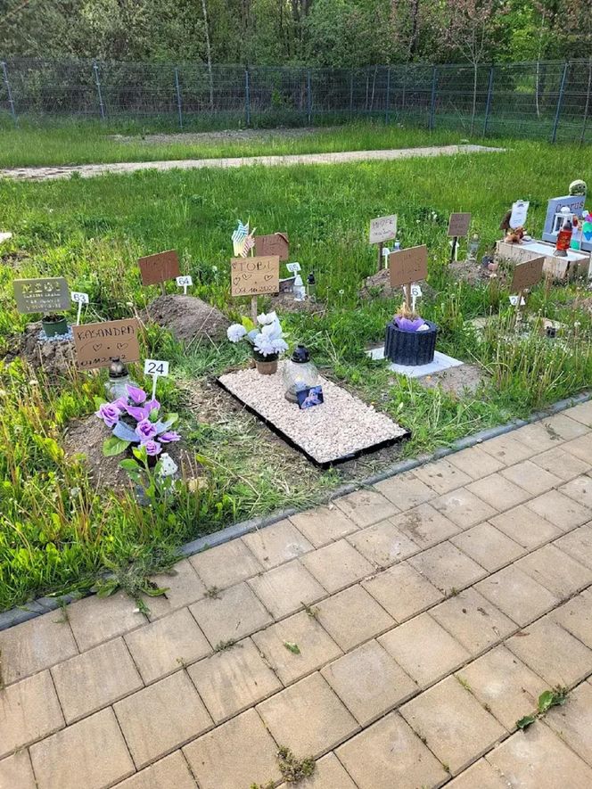 W całym woj. śląskim jest tylko jeden taki cmentarz. Miejsce, gdzie pamięć o pupilu nie umiera