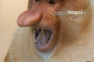 MEMY po meczu Polska Malta