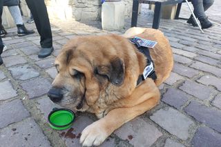 33. Finał WOŚP W Rzeszowie