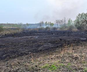 Pożar traw w krakowskiej dzielnicy Dębniki