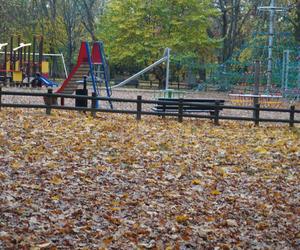 Park Sołacki w Poznaniu jesienią