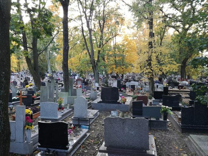 Ruszyła wirtualna kwesta na renowację zabytkowych nagrobków w Toruniu