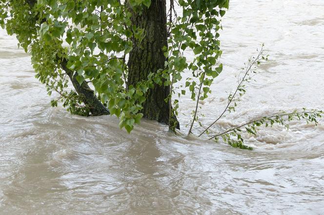 Myślenice chcą zabezpieczenia przeciwpowodziowego. Chodzi o potok płynący przez centrum