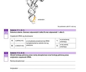 MATURA BIOLOGIA ROZSZERZONA FORMUŁA 2024