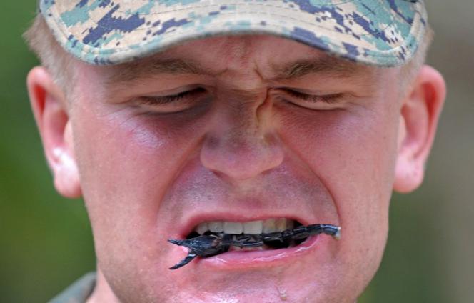 Tak się szkoli żołnierzy marines 