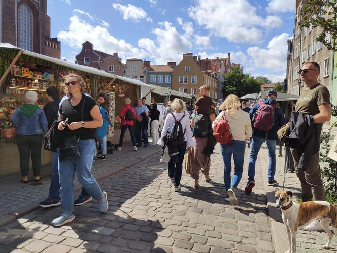 Stoiska na Jarmarku Świętego Dominika w Gdańsku