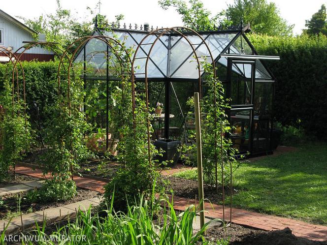 Pergola w ogrodzie