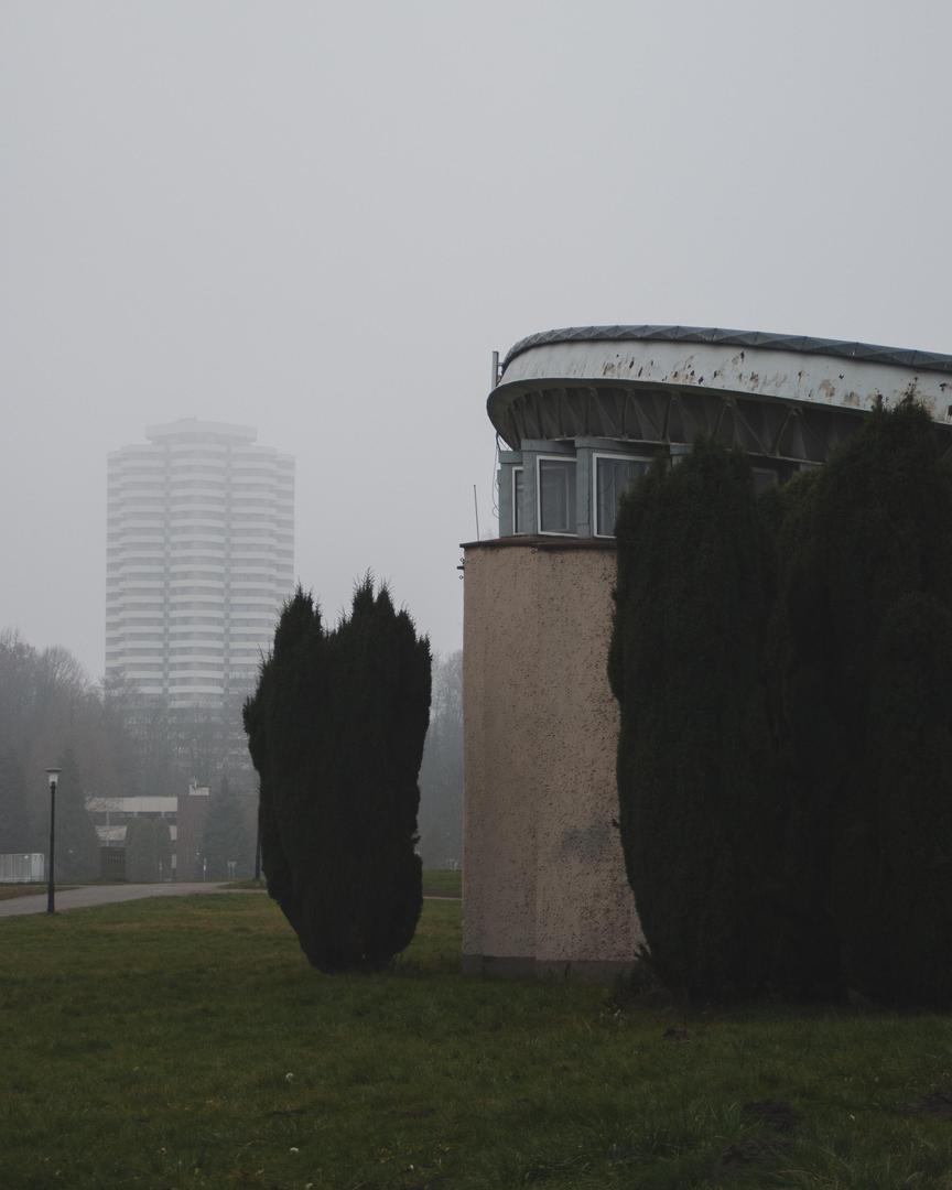 Kukurydze - zdjęcia katowickich bloków z Osiedla Tysiąclecia