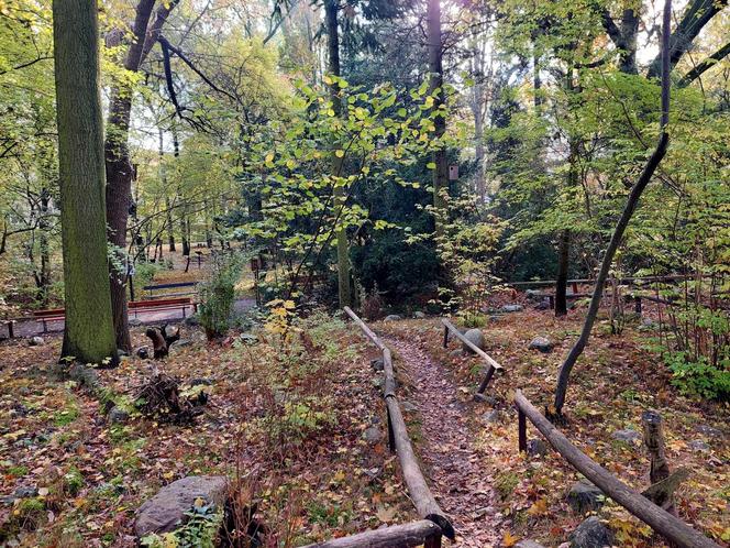 Chodźcie z nami na spacer po Ogrodzie Botanicznym UKW w Bydgoszczy. To ostatnia szansa!