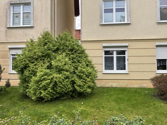 Osiedle Polana Świemirowska w Sopocie