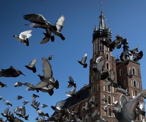 Najpiękniejsze starówki świata. Kraków wygrywa