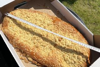 Lubaszka jagodzianka