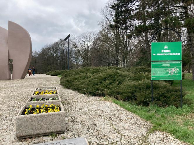 Park im. Szarych Szeregów. To tu swój początek ma Szlak pamięci ofiar hitlerowskiego ludobójstwa