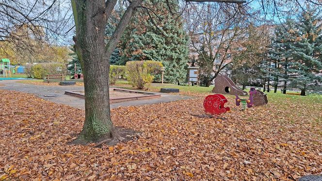 Przedszkole Miejskie nr 15 w Starachowicach