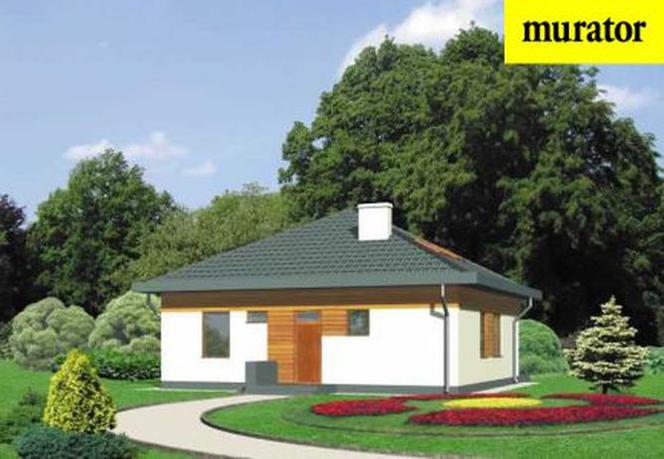 Budowa nie musi się kojarzyć z oszczędzaniem. Wszystko zależy od projektu domu