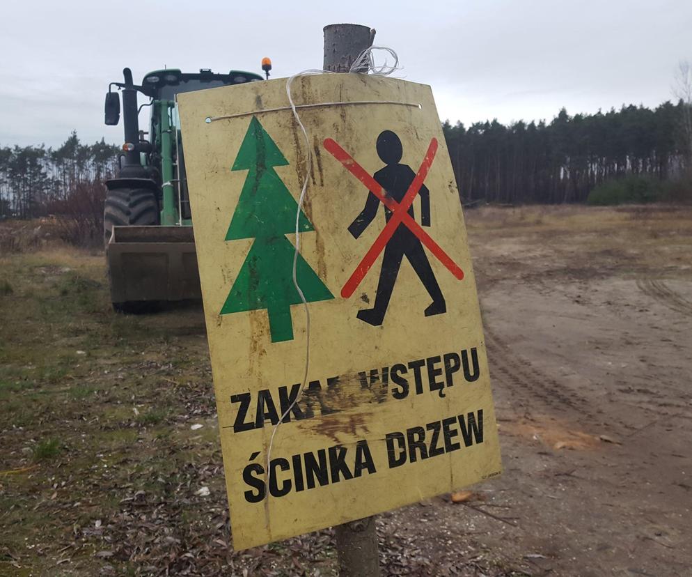 ​Wycinają sosny na ulicy Geodetów w Lesznie. Co tam powstanie? 