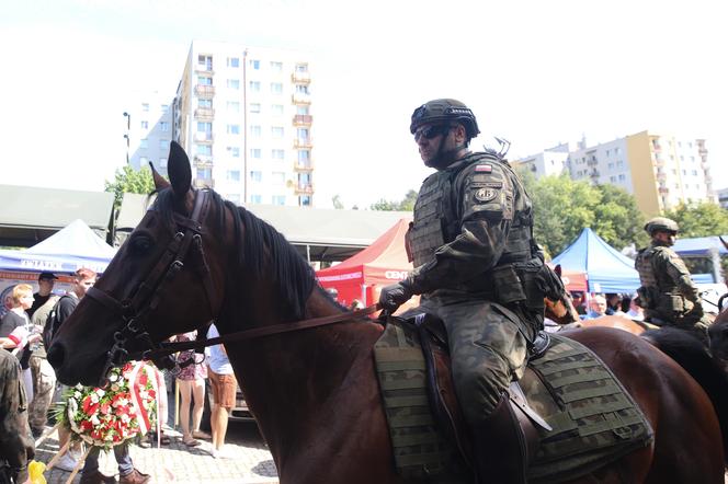 Defilada wojskowa w Katowicach i piknik. Wojewódzkie Obchody Święta Wojska Polskiego 2024