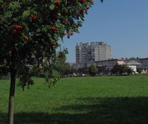 To miejsce za pół roku będzie wyglądało inaczej. Miasto przygotowuje Park Centralny na Felinie