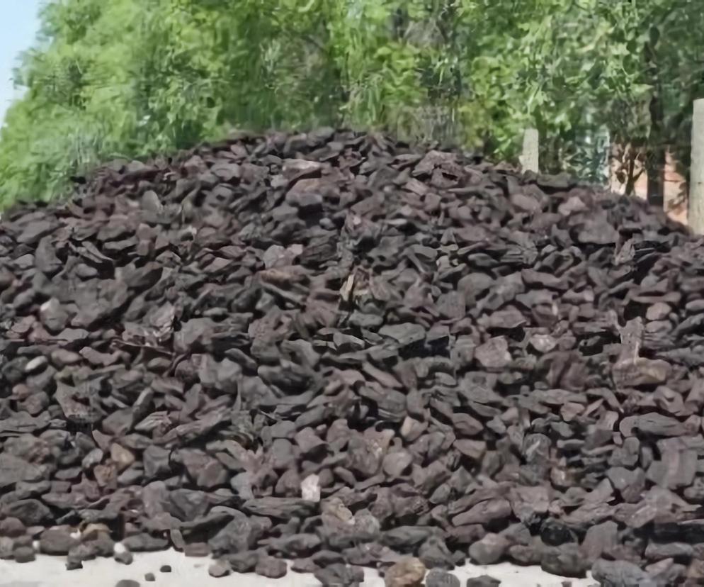Rozpoczęła się dystrybucja węgla w Aleksandrowie Kujawskim. Trwa składanie wniosków