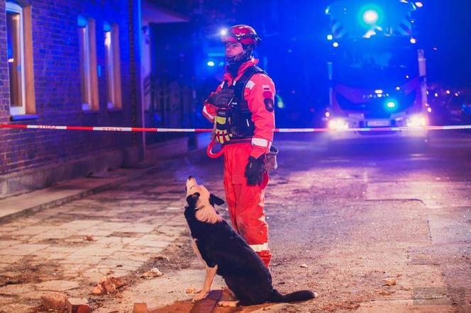 Ratował ludzi, pomagał strażakom. Max nie żyje! Zmarł tuż przed świętami 