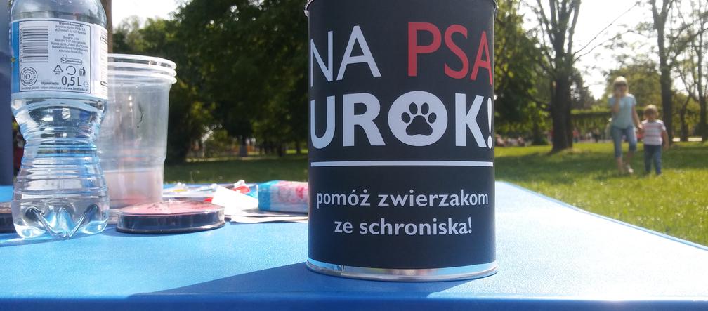 Każdy z nas może pomóc bezdomnym zwierzętom