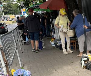 Europosłanka Wcisło buszuje na bazarku.