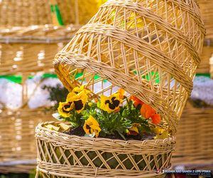 Największa święconka w Polsce