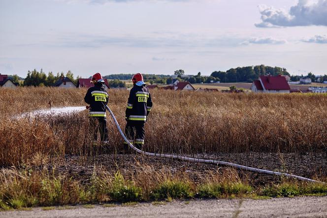 Strażacy gasili pożar traw w Rzeszowie