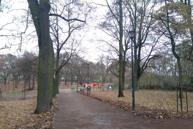 Kolejny szczeciński park wypiękniał. Tym razem na Niemierzynie [ZDJĘCIA]