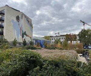 Park im. Wisławy Szymborskiej w Krakowie