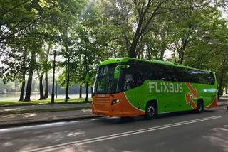 FlixBus rusza ze sprzedażą tanich biletów. Ceny od 5 złotych