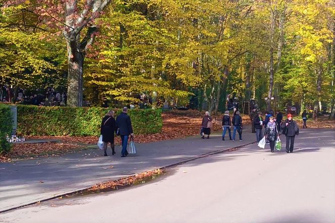 1 listopada na Cmentarzu Centralnym w Szczecinie