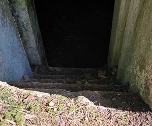 Odwiedziłam jeden z piękniejszych powiatów na Mazurach. To prawdziwy „szlak bunkrowy”