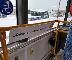 Zakochany autobus linii nr 18 można spotkać na ulicach Siedlec tylko w walentynki 2025!